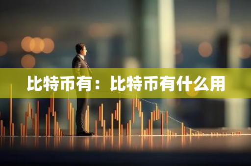 比特币有：比特币有什么用-第1张图片-智财锋资讯网