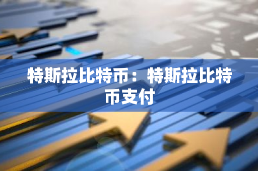特斯拉比特币：特斯拉比特币支付