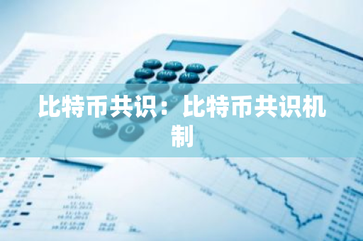 比特币共识：比特币共识机制