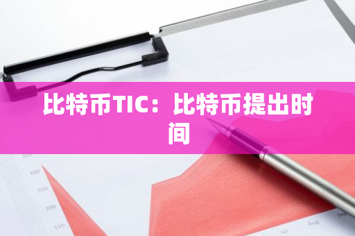 比特币TIC：比特币提出时间