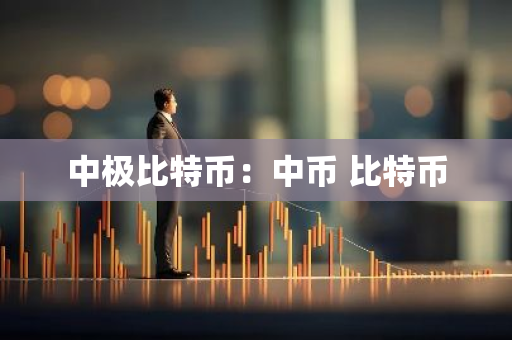 中极比特币：中币 比特币