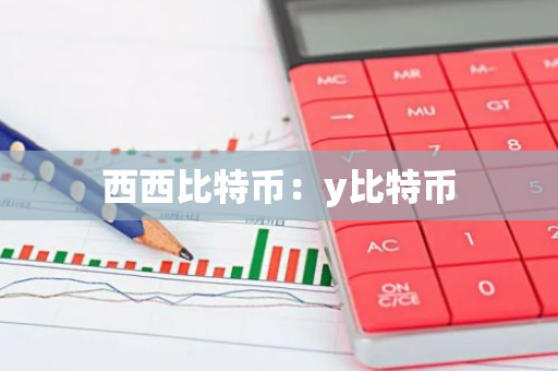 西西比特币：y比特币