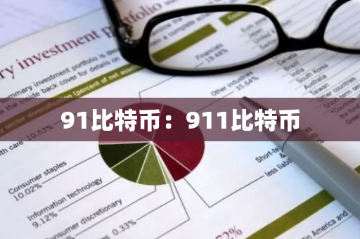 91比特币：911比特币