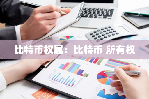 比特币权属：比特币 所有权