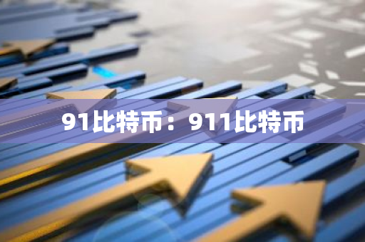 91比特币：911比特币