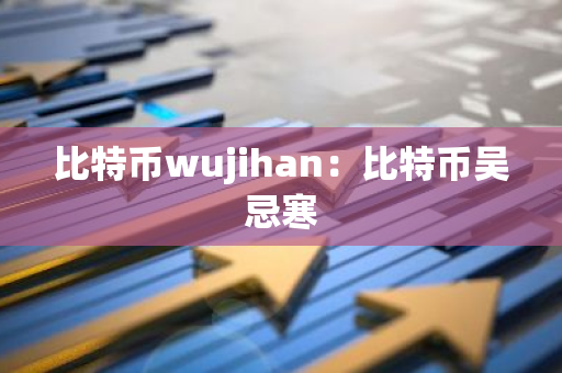 比特币wujihan：比特币吴忌寒