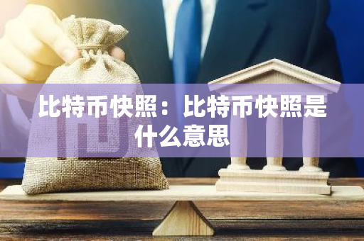 比特币快照：比特币快照是什么意思