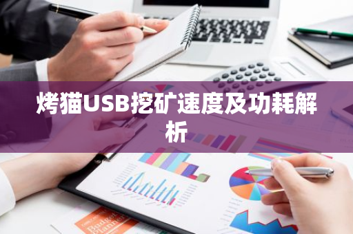 烤猫USB挖矿速度及功耗解析-第1张图片-智财锋资讯网 烤猫USB挖矿速度及功耗解析-第1张图片-智财锋资讯网