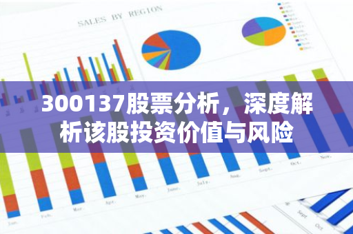 300137股票分析，深度解析该股投资价值与风险