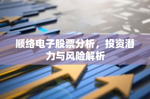 顺络电子股票分析，投资潜力与风险解析