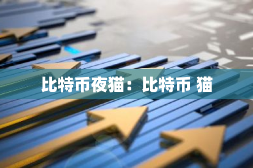 比特币夜猫：比特币 猫-第1张图片-智财锋资讯网