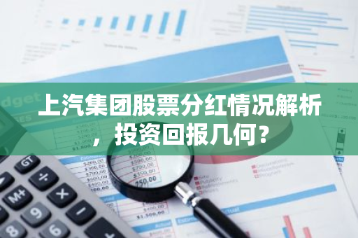 上汽集团股票分红情况解析，投资回报几何？