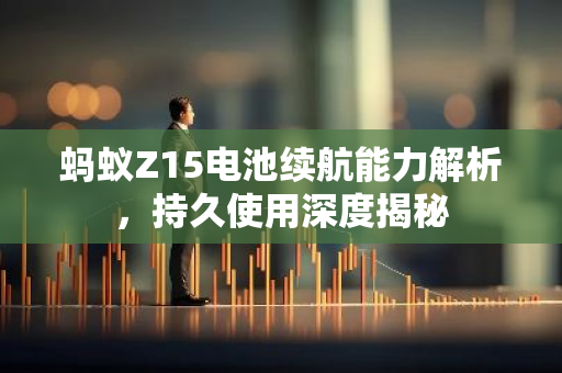 蚂蚁Z15电池续航能力解析，持久使用深度揭秘