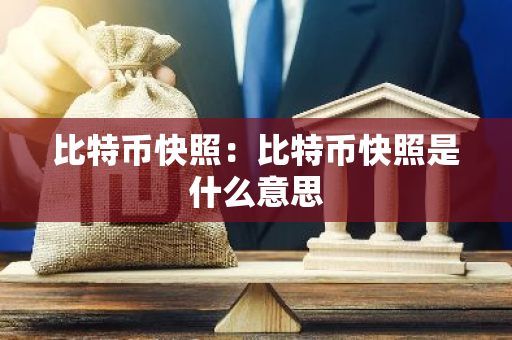 比特币快照：比特币快照是什么意思