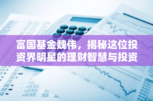 富国基金魏伟，揭秘这位投资界明星的理财智慧与投资策略