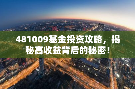 481009基金投资攻略，揭秘高收益背后的秘密！