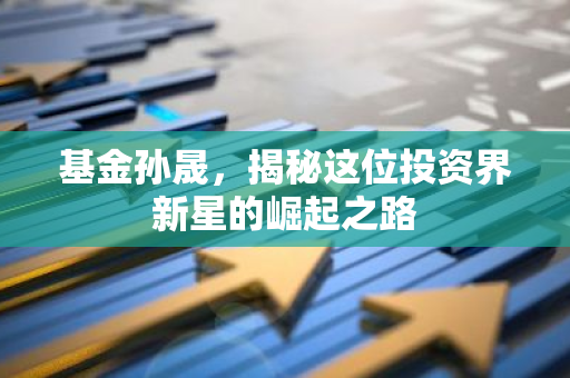基金孙晟，揭秘这位投资界新星的崛起之路