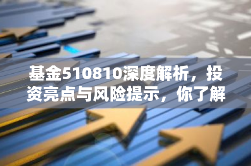 基金510810深度解析，投资亮点与风险提示，你了解多少？