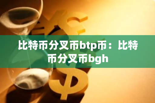 比特币分叉币btp币：比特币分叉币bgh-第1张图片-智财锋资讯网