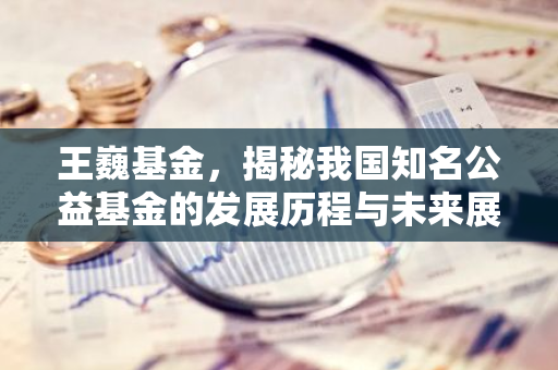 王巍基金，揭秘我国知名公益基金的发展历程与未来展望