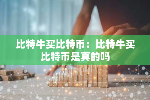 比特牛买比特币：比特牛买比特币是真的吗-第1张图片-智财锋资讯网