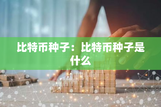 比特币种子：比特币种子是什么