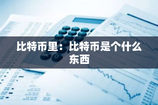比特币里：比特币是个什么东西
