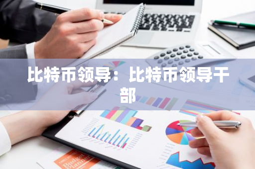 比特币领导：比特币领导干部