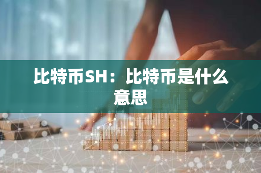 比特币SH：比特币是什么意思