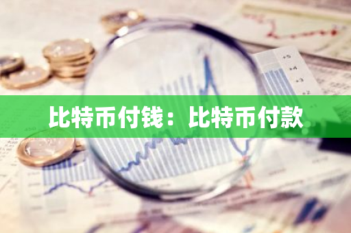 比特币付钱：比特币付款-第1张图片-智财锋资讯网