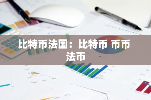 比特币法国：比特币 币币 法币-第1张图片-智财锋资讯网