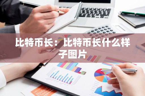 比特币长：比特币长什么样子图片-第1张图片-智财锋资讯网