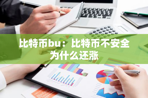 比特币bu：比特币不安全为什么还涨-第1张图片-智财锋资讯网