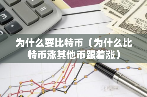 为什么要比特币（为什么比特币涨其他币跟着涨）