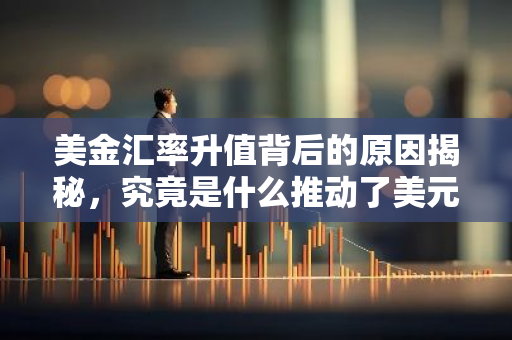 美金汇率升值背后的原因揭秘，究竟是什么推动了美元的强势？