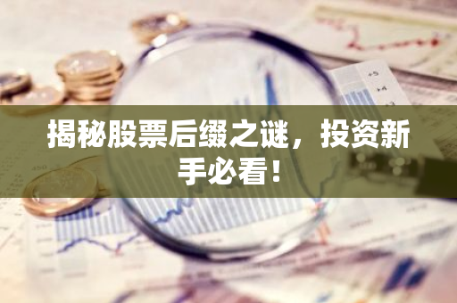 揭秘股票后缀之谜，投资新手必看！
