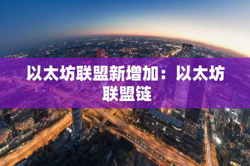 以太坊联盟新增加：以太坊 联盟链