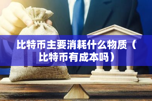 比特币主要消耗什么物质（比特币有成本吗）