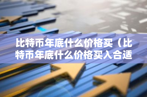 比特币年底什么价格买（比特币年底什么价格买入合适）