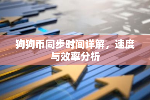 狗狗币同步时间详解，速度与效率分析