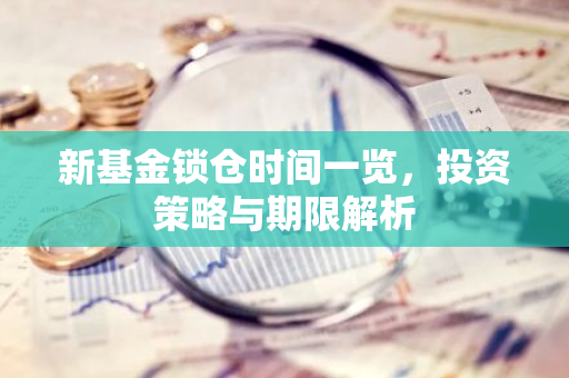 新基金锁仓时间一览，投资策略与期限解析