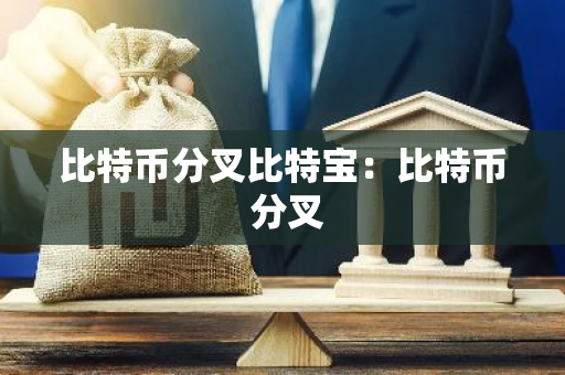 比特币分叉比特宝：比特币 分叉