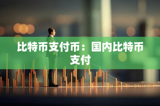 比特币支付币：国内比特币支付-第1张图片-智财锋资讯网