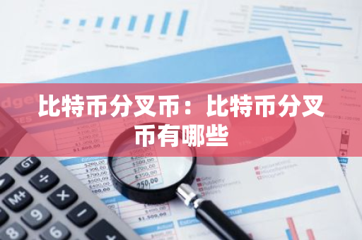 比特币分叉币:比特币分叉币有哪些-第1张图片-智财锋资讯网 比特币分叉币:比特币分叉币有哪些-第1张图片-智财锋资讯网