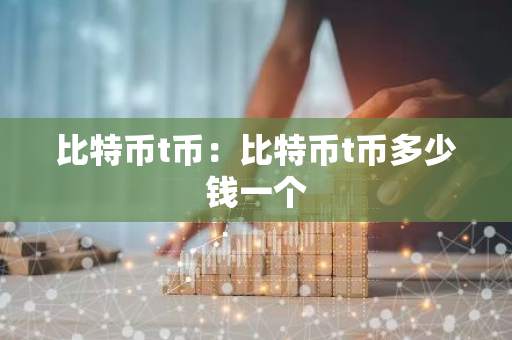 比特币t币：比特币t币多少钱一个