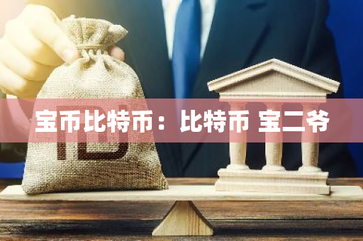 宝币比特币：比特币 宝二爷