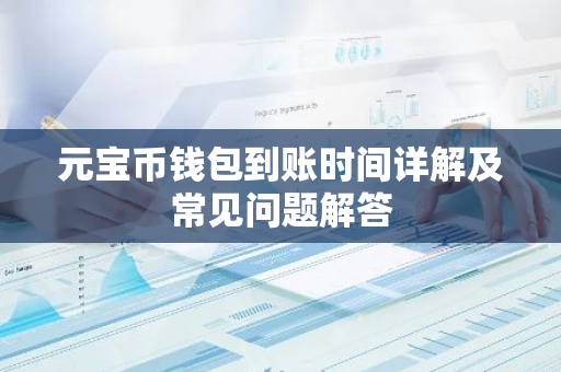 元宝币钱包到账时间详解及常见问题解答