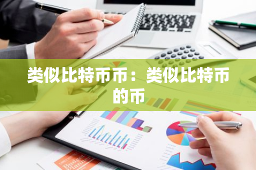 类似比特币币：类似比特币的币