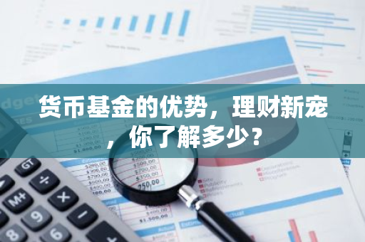 货币基金的优势，理财新宠，你了解多少？-第1张图片-智财锋资讯网