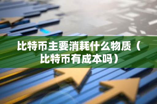 比特币主要消耗什么物质（比特币有成本吗）